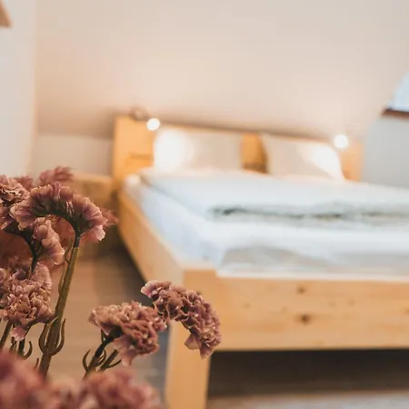 Wellness Krajanka *