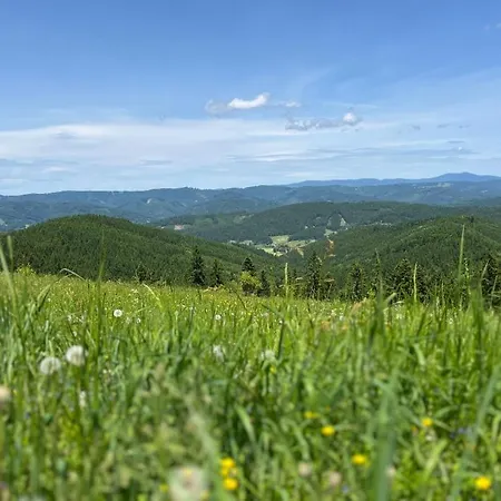 בית נופש Wellness Krajanka Nový Hrozenkov